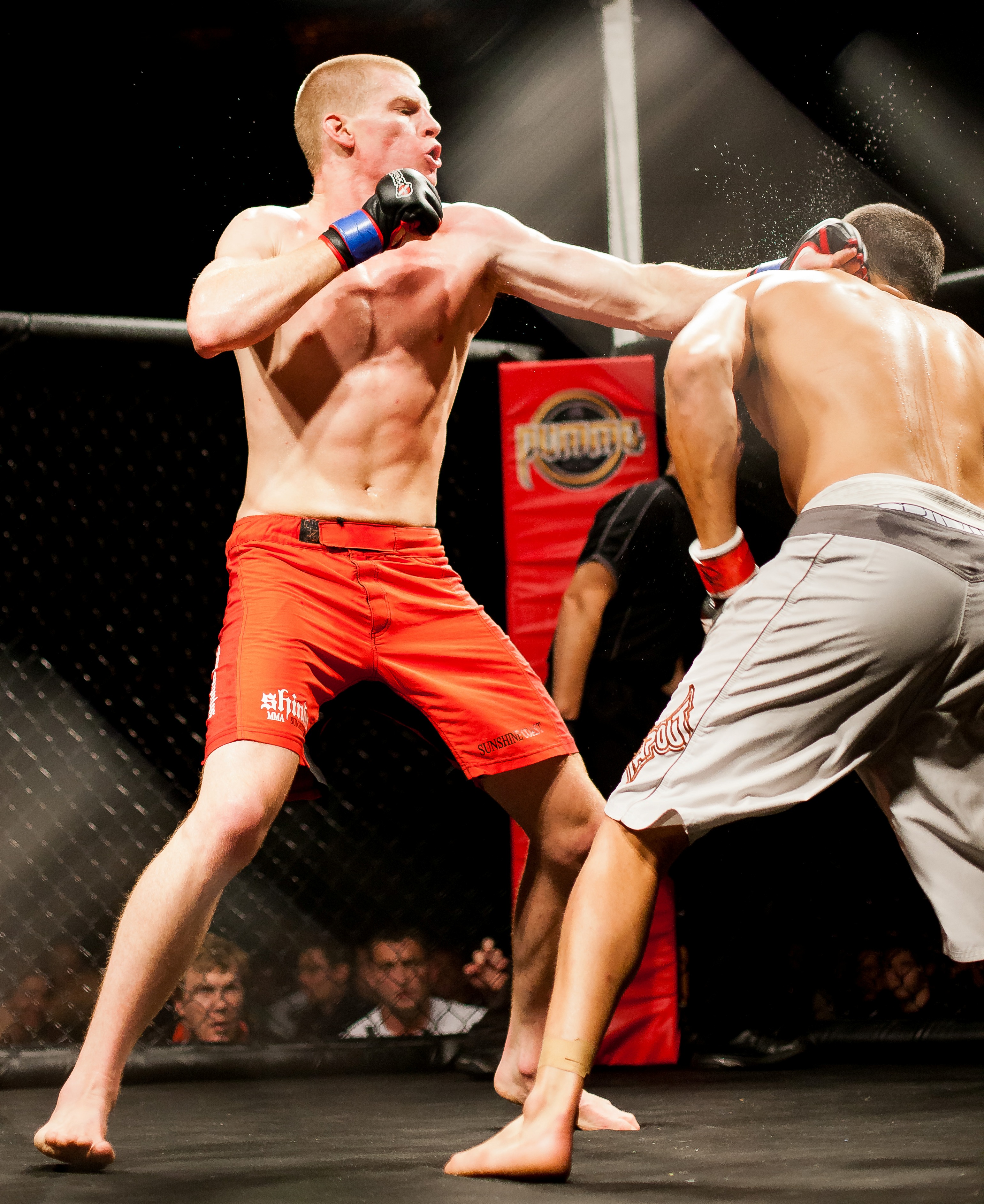 5P0H0080 Shindo MMA Sunshine Coast Shindo MMA Sunshine Coast